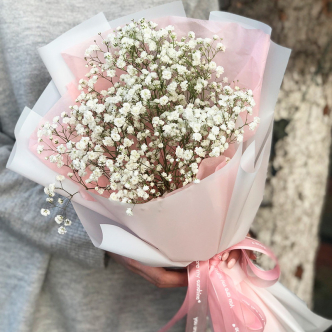 Гипсофилы купить в иваново купить цветы в новосибирске недорого оптом